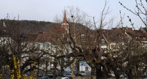 Frühling in der Alllee