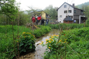 Feuerwehrtaich